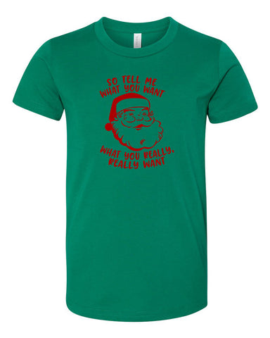 Santa, Tell Me What You Want? Youth T-Shirt, Funny Christmas Shirt, Funny Saying Shirt, Christmas Holiday Shirt, Christmas Party